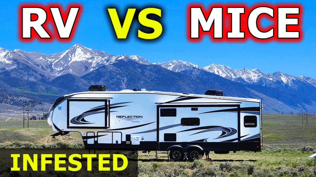 Broken Dreams Reborn full time RV life travel life couple RV mouse infestation trying to just survive