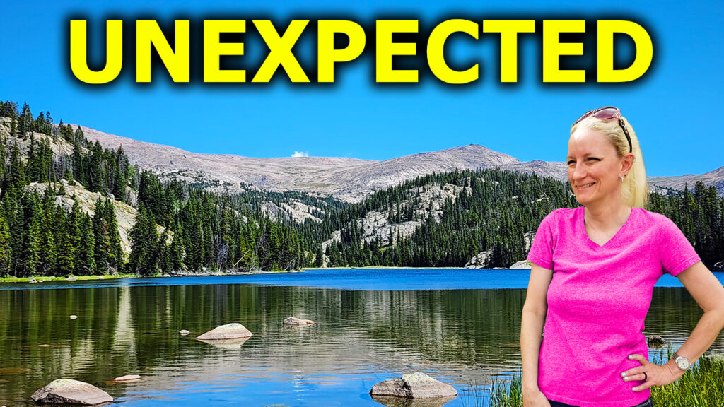 Broken Dreams Reborn full time RV life travel life wildlife encounter