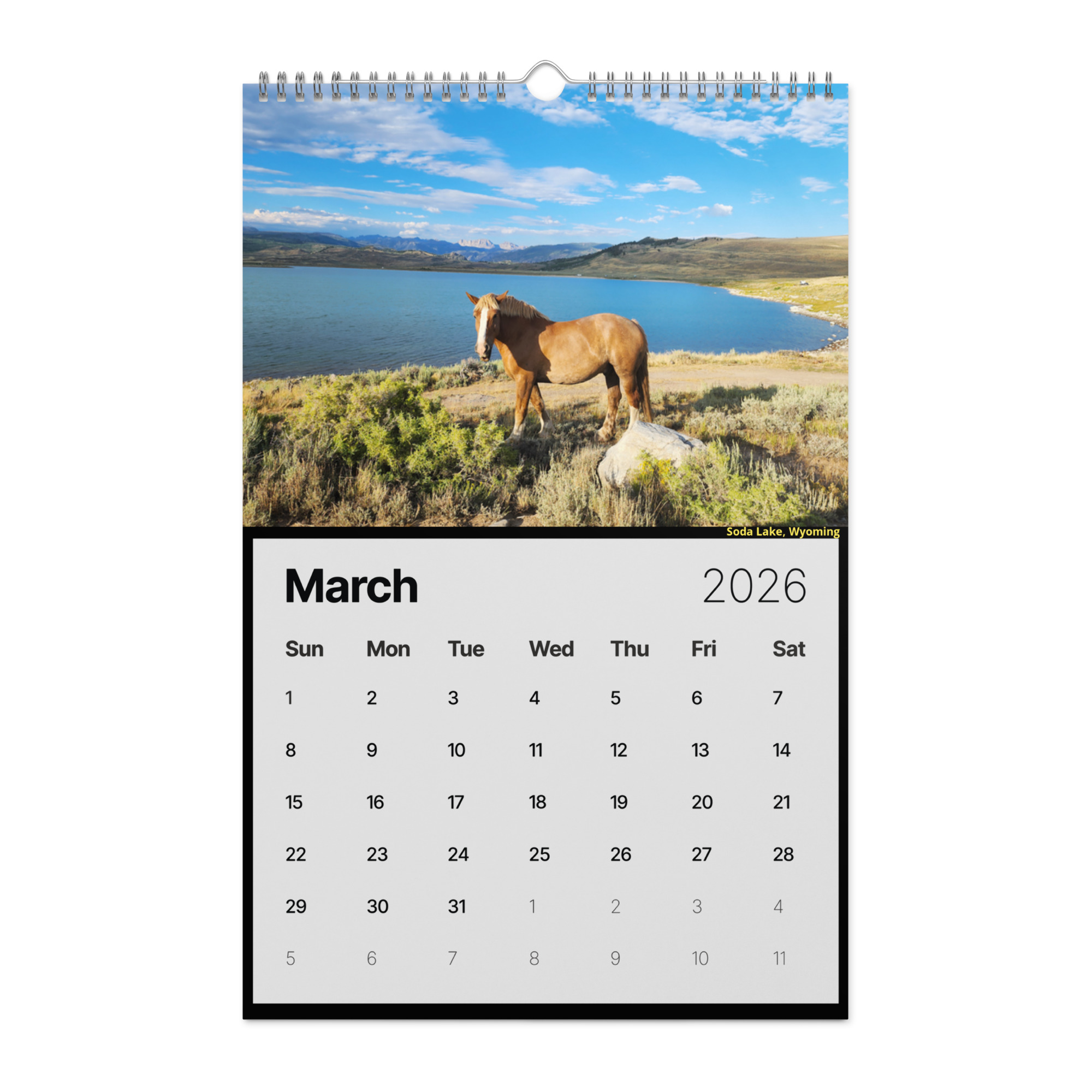 BDR Wall Calendar (2026) - Image 17
