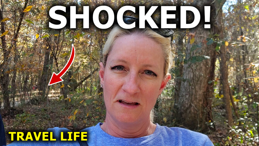 Broken Dreams Reborn Full Time RV Life Vlog Chocked Florida State Park Campground